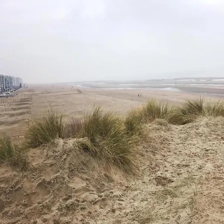 Parnasse With A Location Koksijde